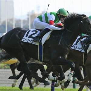 2014年11月24日　500万下
