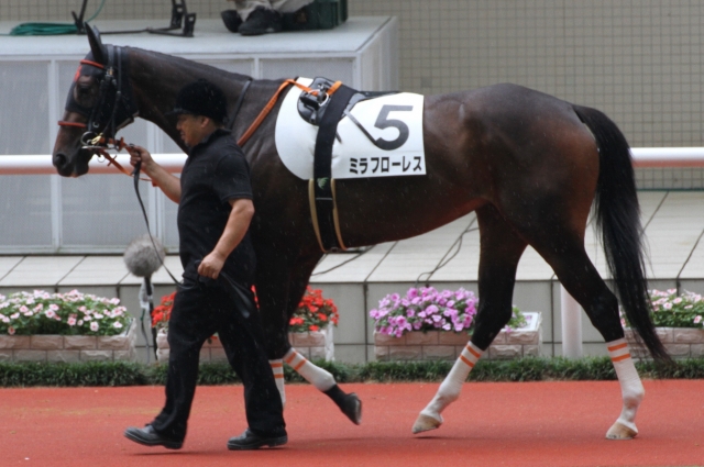 2013/06/23 3歳未勝利(牝) ミラフローレス