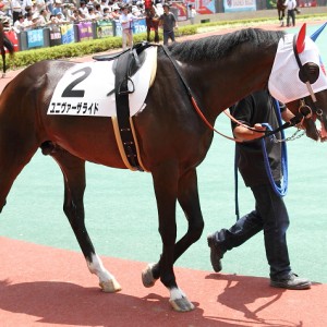 2013/07/07 3歳未勝利