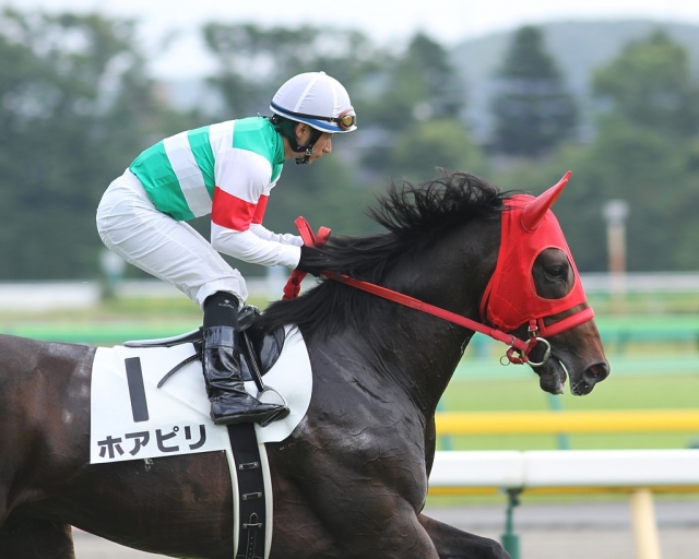 ３歳未勝利 ホアピリ