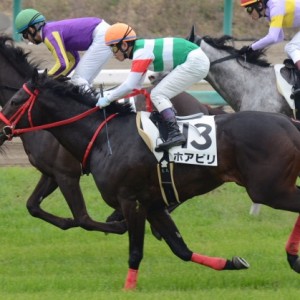 3歳未勝利