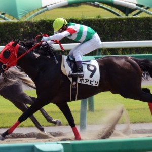 3歳未勝利