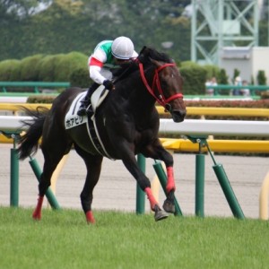 第３戦　