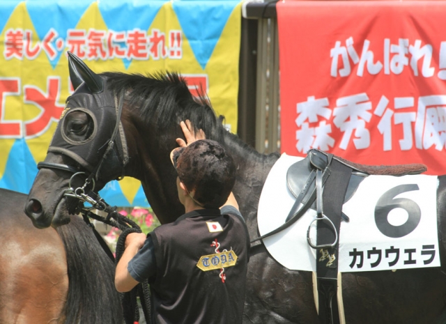 府中･３歳未勝利１８００ｍ① カウウェラ