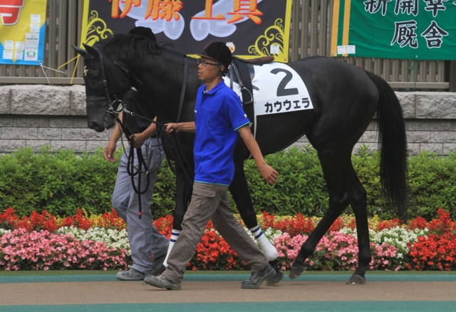 府中・3歳未勝利 カウウェラ