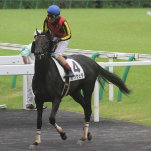 福島３歳以上５００万以下（レース後）