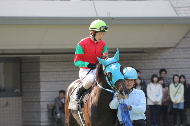 メトロポリタンSパドック マイネルジェイド