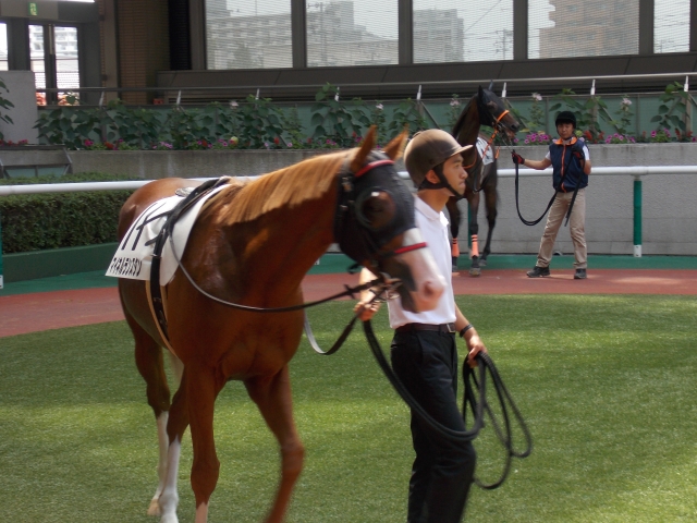 福島競馬場で マイネルランスタン