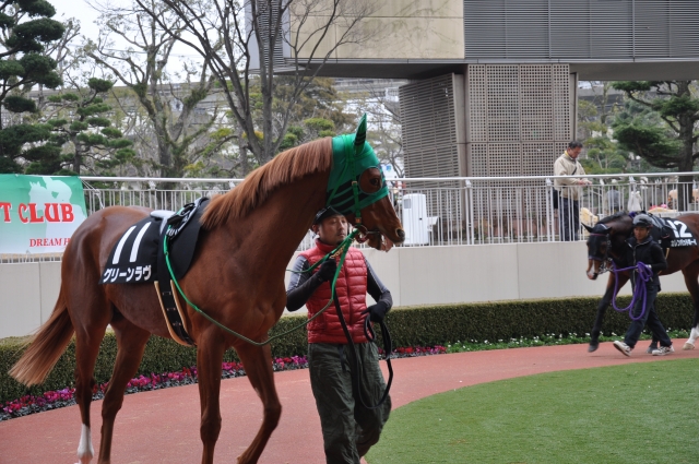 2/15　小倉１０Ｒ　パドック グリーンラヴ