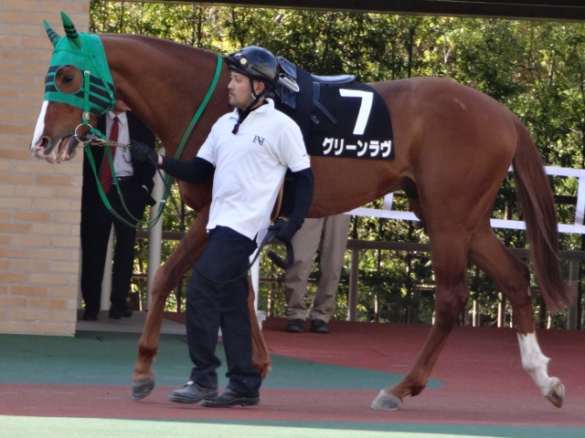 刈谷特別パドック グリーンラヴ