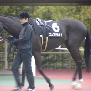 平成27年3月15日中京10R中京スポーツ杯2