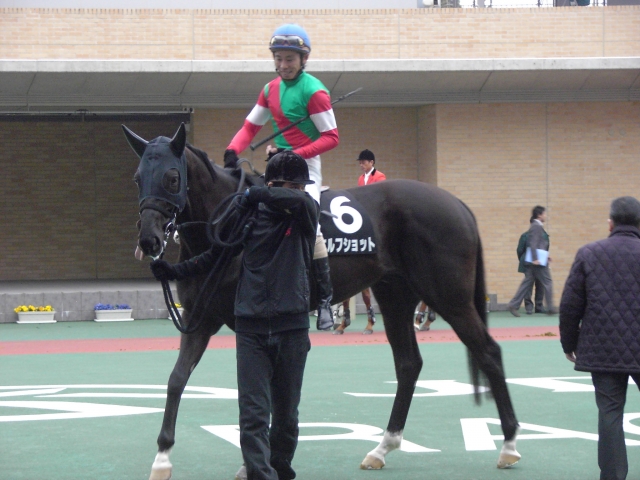 平成27年3月15日中京10R中京スポーツ杯3 エルフショット