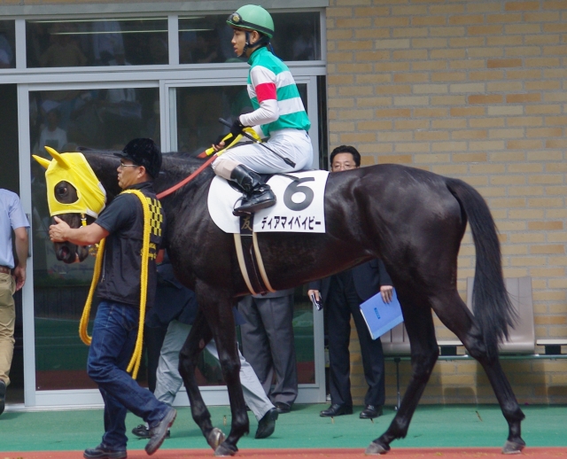 未勝利　中京　パドック　よしよしされる ディアマイベイビー