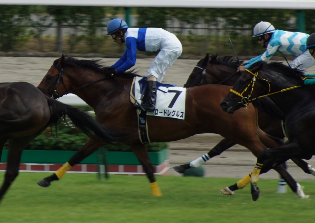 新馬戦 ロードレグルス