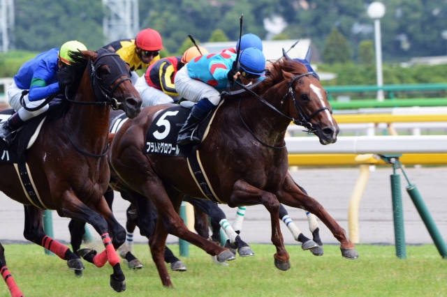 相模湖特別 フラムドグロワール