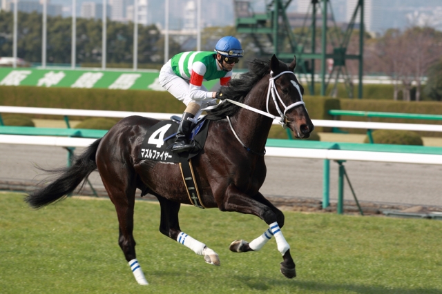 2013/03/16 阪神11Ｒ 若葉Ｓ マズルファイヤー