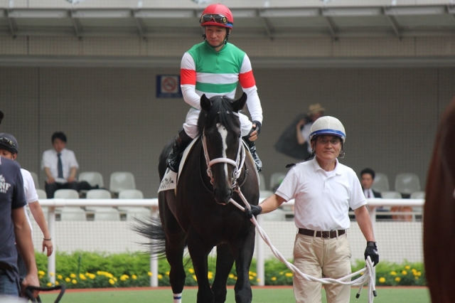 新馬戦パドック① マズルファイヤー