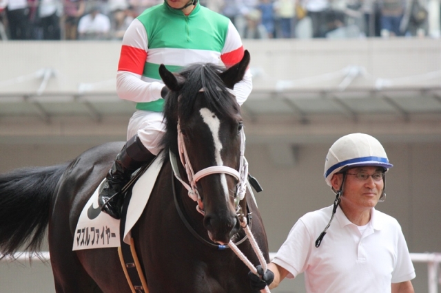 新馬戦パドック② マズルファイヤー