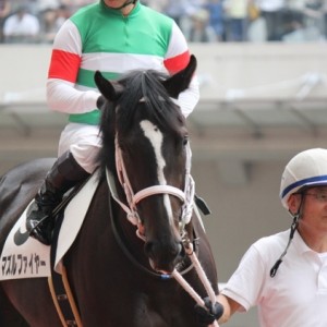 新馬戦パドック②