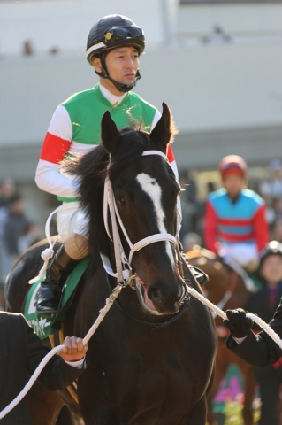 きさらぎ賞　パドック マズルファイヤー