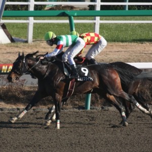 冬桜賞・先頭ゴールイン！