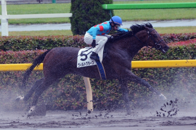 3歳上500万下 ヴィルトグラーフ