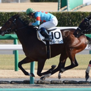 4歳上500万下