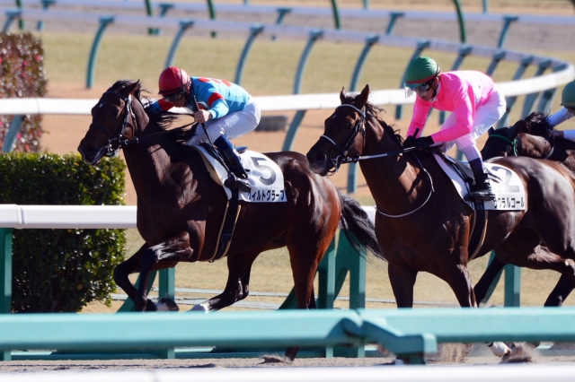 4歳上500万下 ヴィルトグラーフ