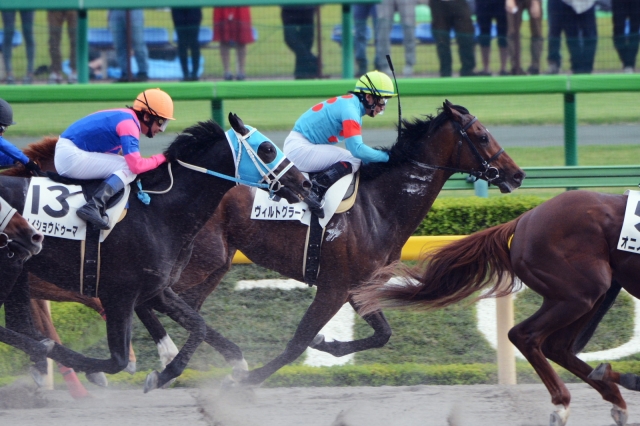 4歳上1000万下 ヴィルトグラーフ