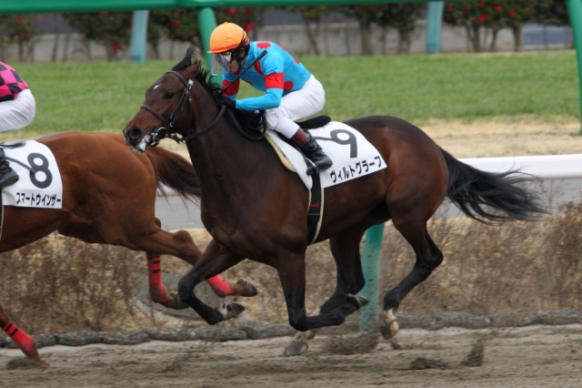 新馬戦　レース ヴィルトグラーフ