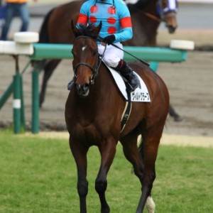 4歳上500万下（23戦目）レース後  = 3勝目 =