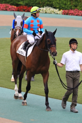 4歳上1000万下（25戦目）パドック② ヴィルトグラーフ