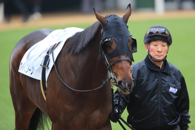 3歳上1000万下（30戦目）パドック① ヴィルトグラーフ