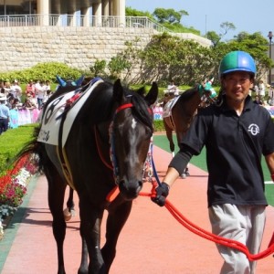 １８日３歳未勝利戦パドック