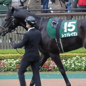 東京スポーツ杯２歳Sパドック