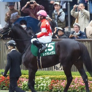 東京スポーツ杯２歳Sパドック