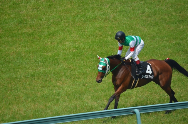 2014年6月29日 皆生特別 返し馬 ローガンサファイア