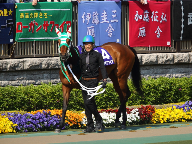 ＮＨＫマイルＣ　パドック① ローガンサファイア