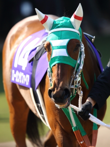 ＮＨＫマイルＣ　パドック② ローガンサファイア