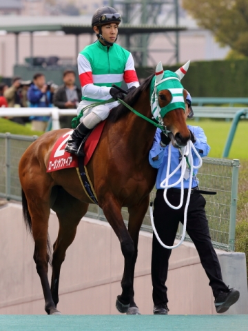 阪神牝馬Ｓ　本馬場入場 ローガンサファイア
