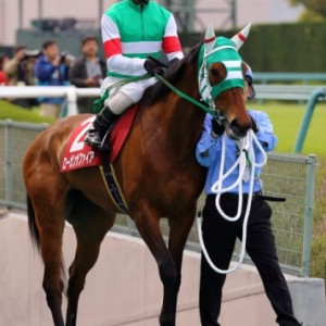 阪神牝馬Ｓ　本馬場入場