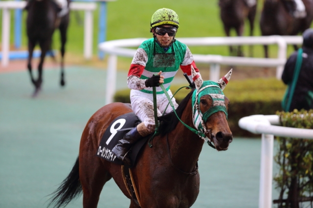 紫川特別　（レース後） ローガンサファイア