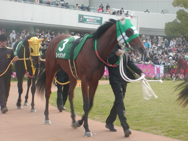 ファンタジーＳ ローガンサファイア