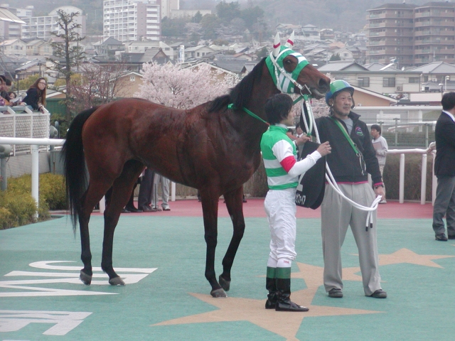 マーガレットS　 ローガンサファイア