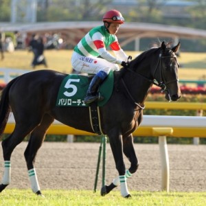 2012年11月3日　アルテミスステークス