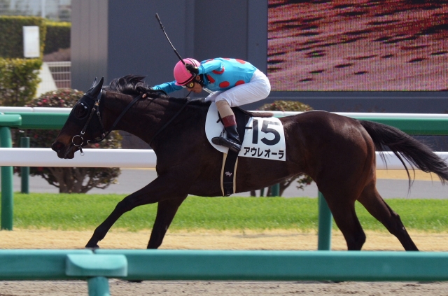 3歳未勝利 アウレオーラ
