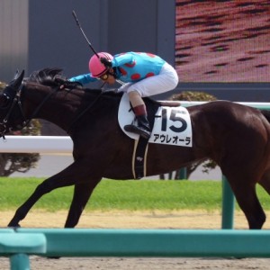 3歳未勝利