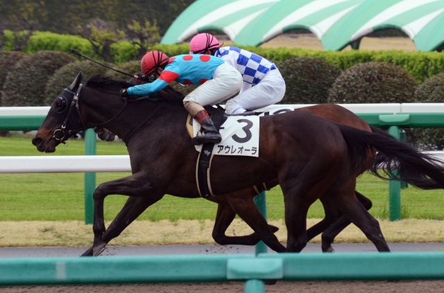 3歳未勝利 アウレオーラ