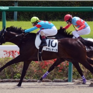 3歳未勝利