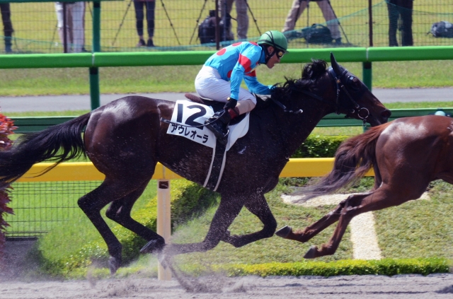 3歳未勝利 アウレオーラ